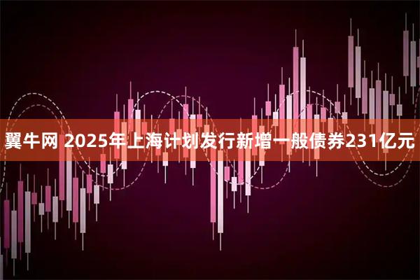 翼牛网 2025年上海计划发行新增一般债券231亿元