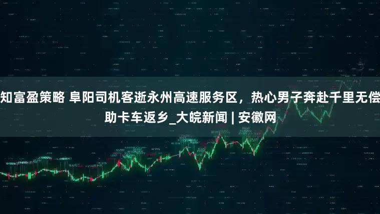 知富盈策略 阜阳司机客逝永州高速服务区，热心男子奔赴千里无偿助卡车返乡_大皖新闻 | 安徽网