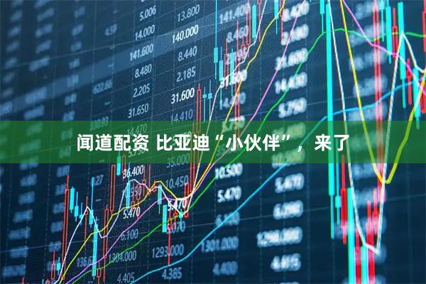闻道配资 比亚迪“小伙伴”，来了
