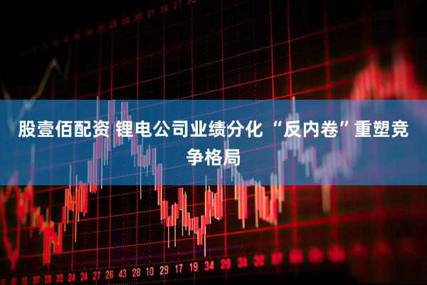 股壹佰配资 锂电公司业绩分化 “反内卷”重塑竞争格局