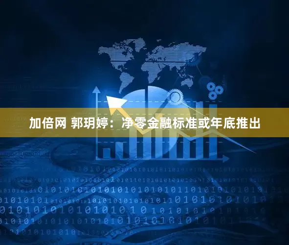 加倍网 郭玥婷：净零金融标准或年底推出
