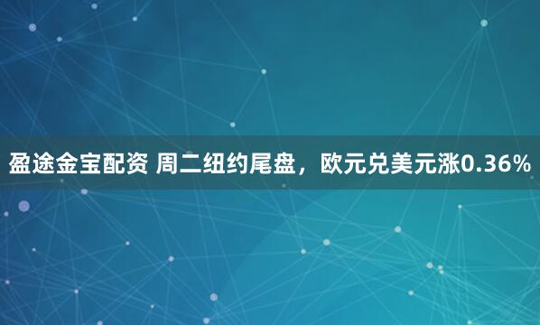 盈途金宝配资 周二纽约尾盘，欧元兑美元涨0.36%
